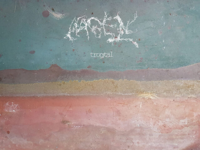 NAGEN – trogtal